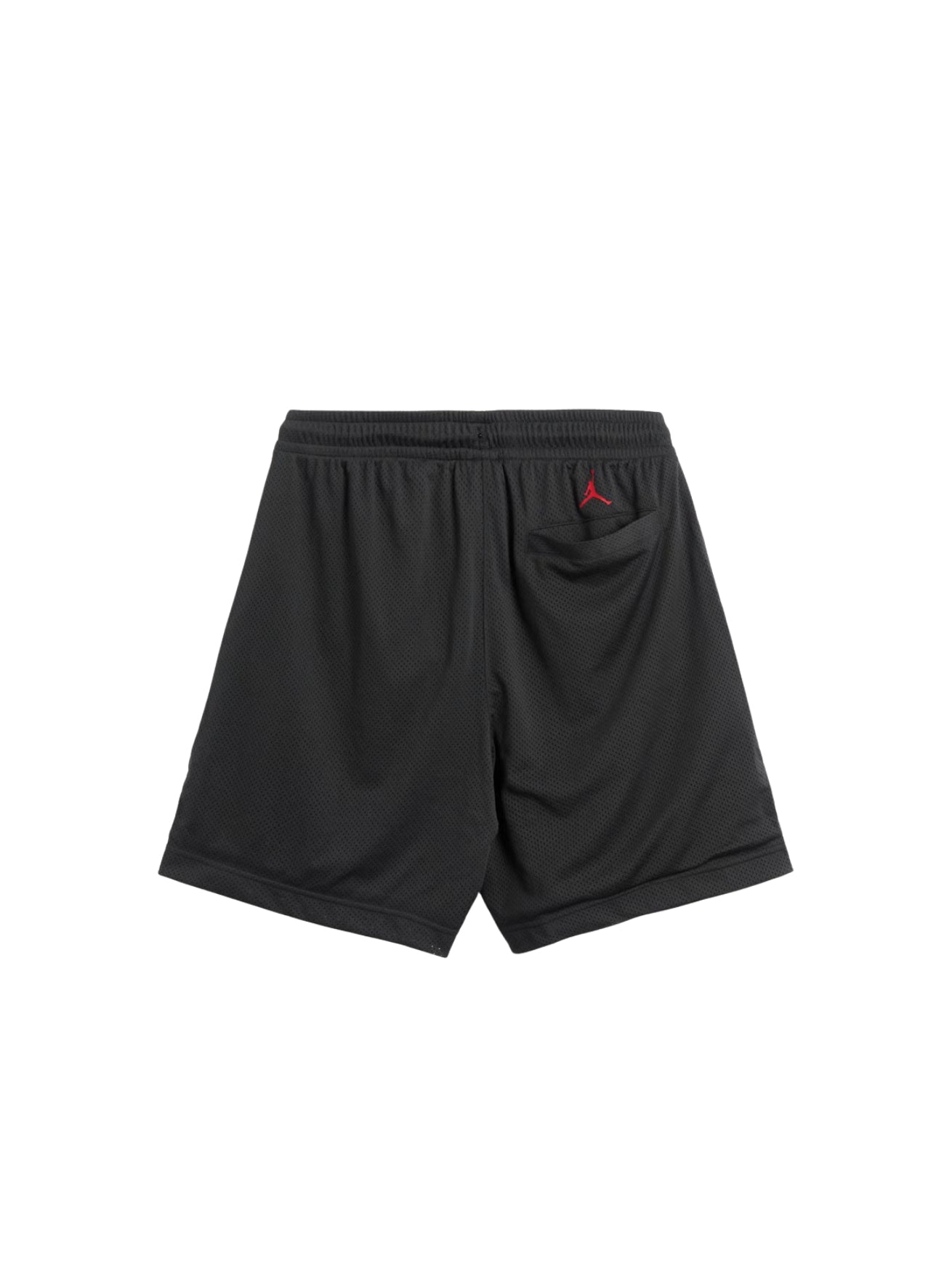 Shorts Jordan Artist Series by Darien Birks Short