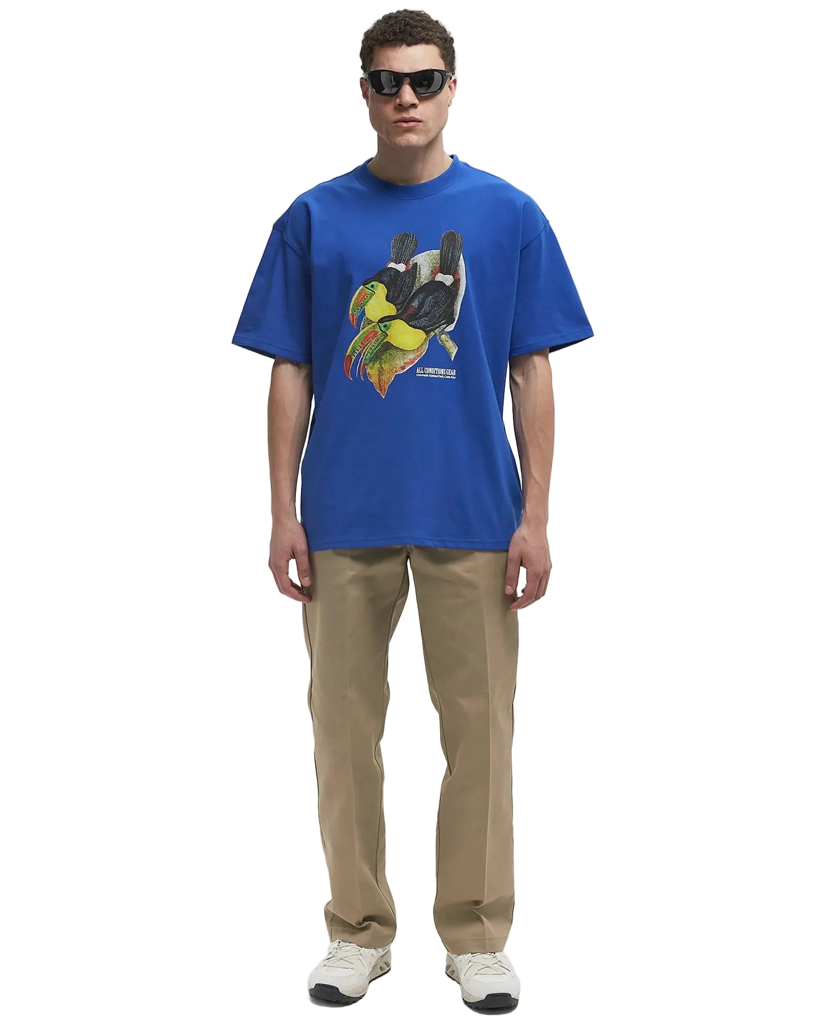 Nike ACG Toucan Tee