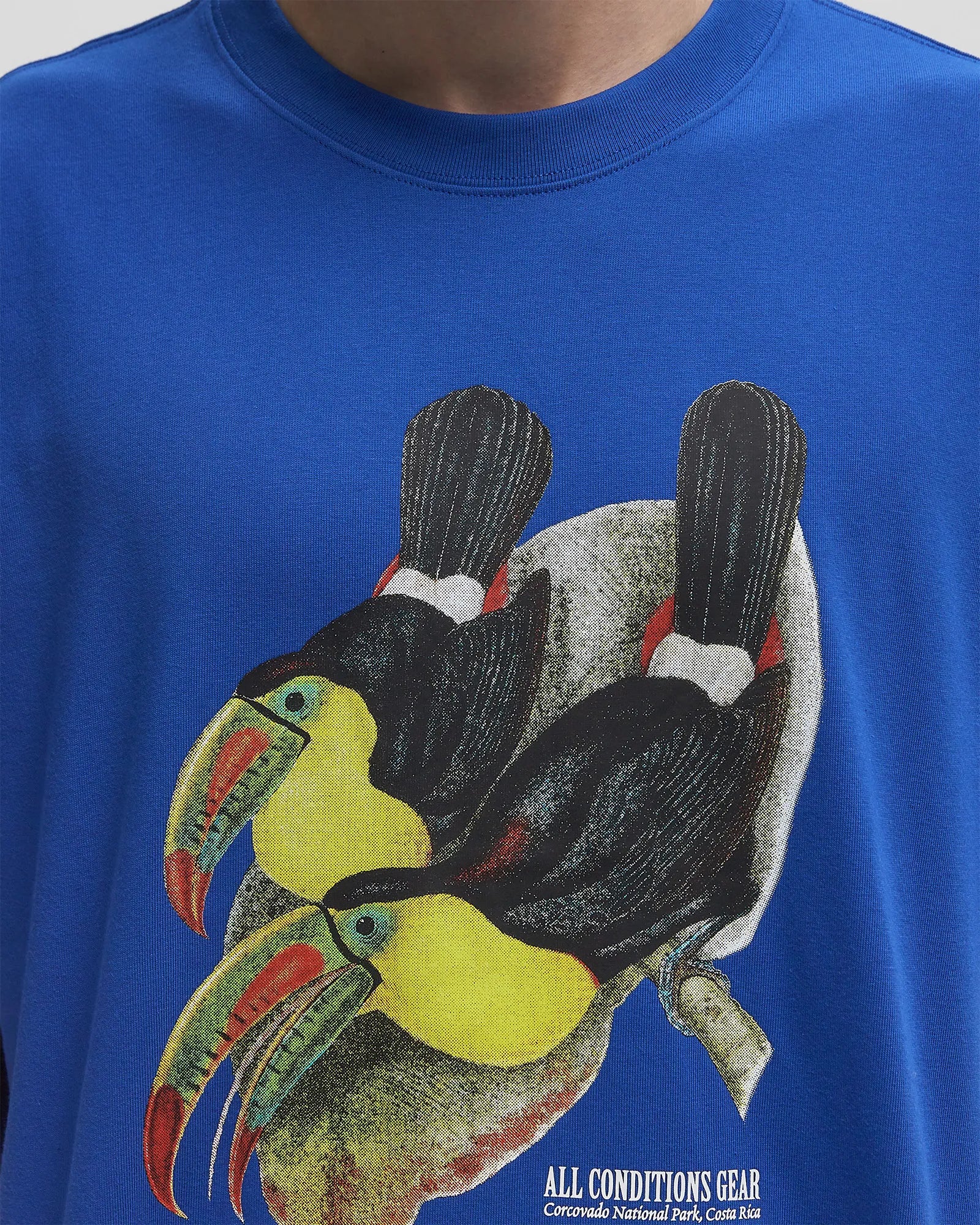 Nike ACG Toucan Tee