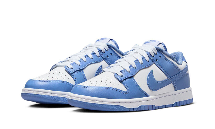 Nike Dunk Low Polar Blue